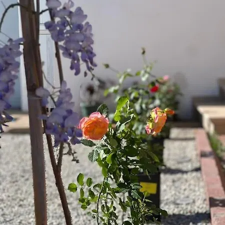 4 Bedroom With Pool For Families To Relax * Perivolia tou Trikomou