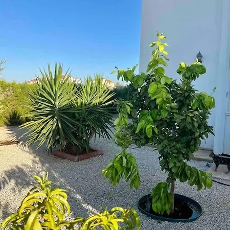 Βίλα 4 Bedroom With Pool For Families To Relax *