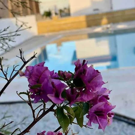 4 Bedroom With Pool For Families To Relax