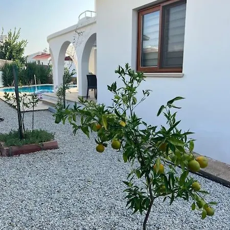 4 Bedroom With Pool For Families To Relax Villa Perivolia tou Trikomou